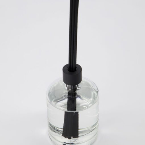 Diffuser with sticks Forest Rain