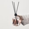 Diffuser with sticks Forest Rain