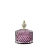 Miya jar rose