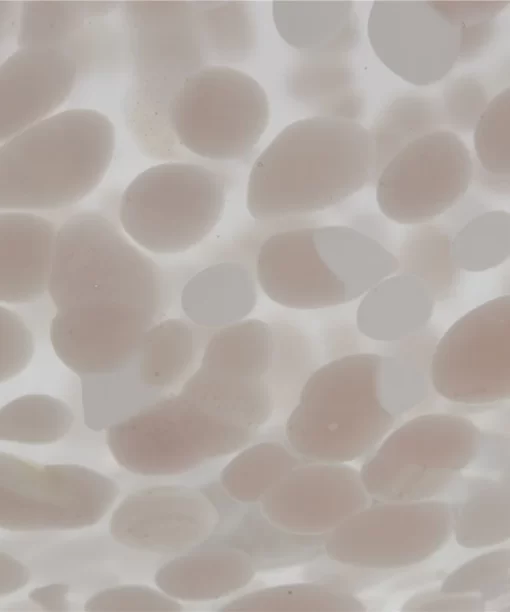 Vase Dorella Bark