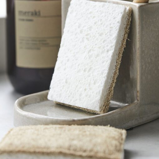 Eco-friendly sponges