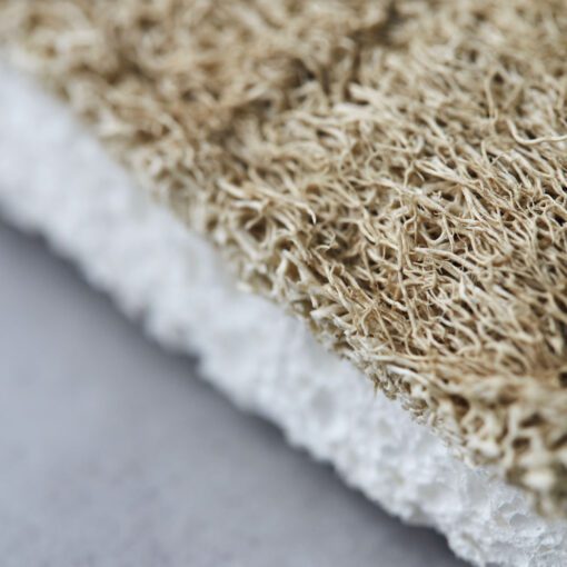 Eco-friendly sponges