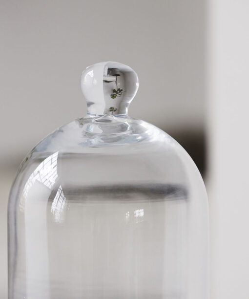 Glass bell I