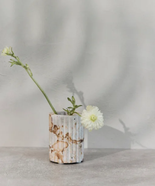 Dantų šepetėlių laikiklis, Eliana